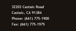 32203 Castaic, CA 91384